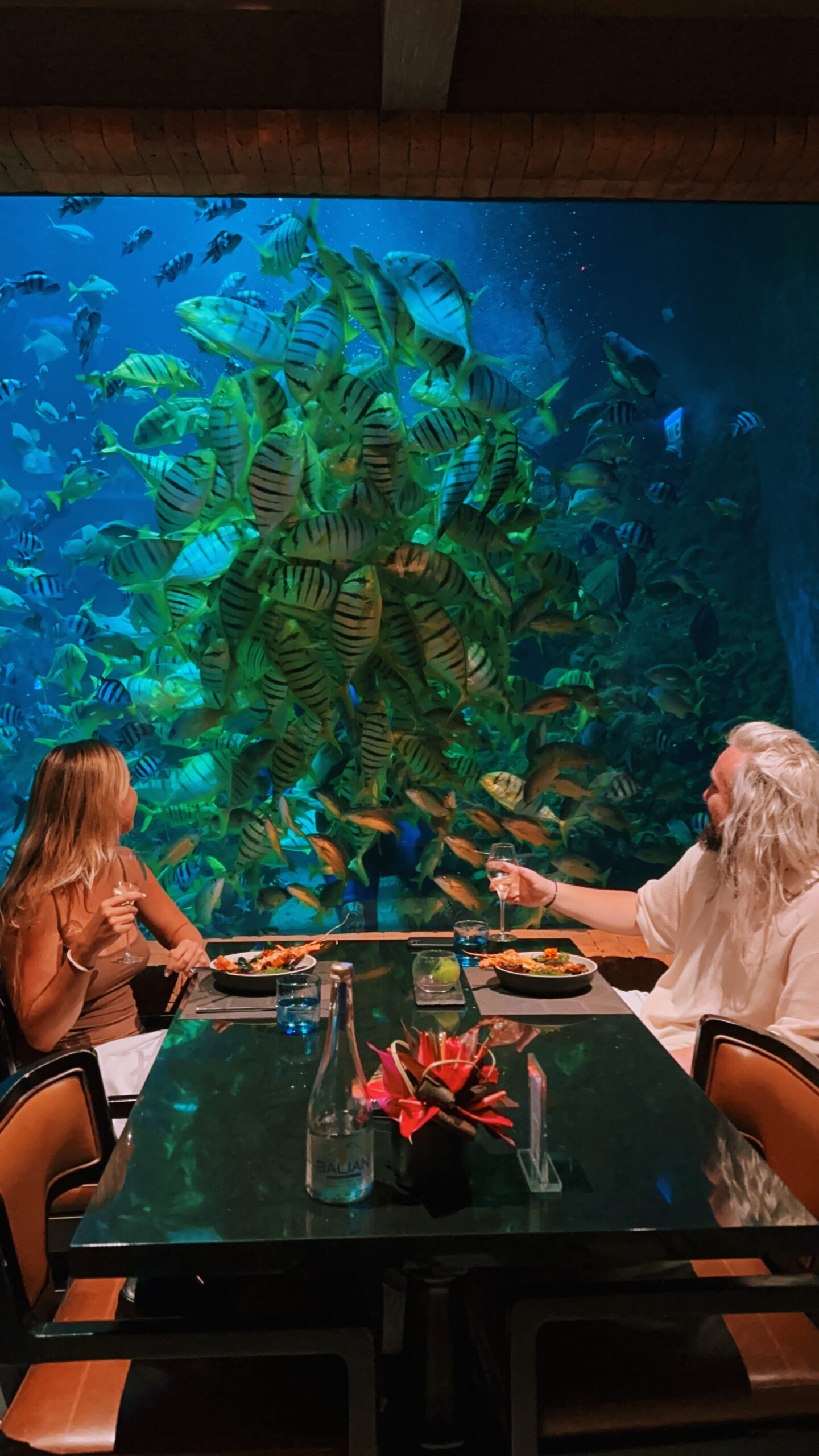 At Koral Restaurant earing in front of one the aquariums